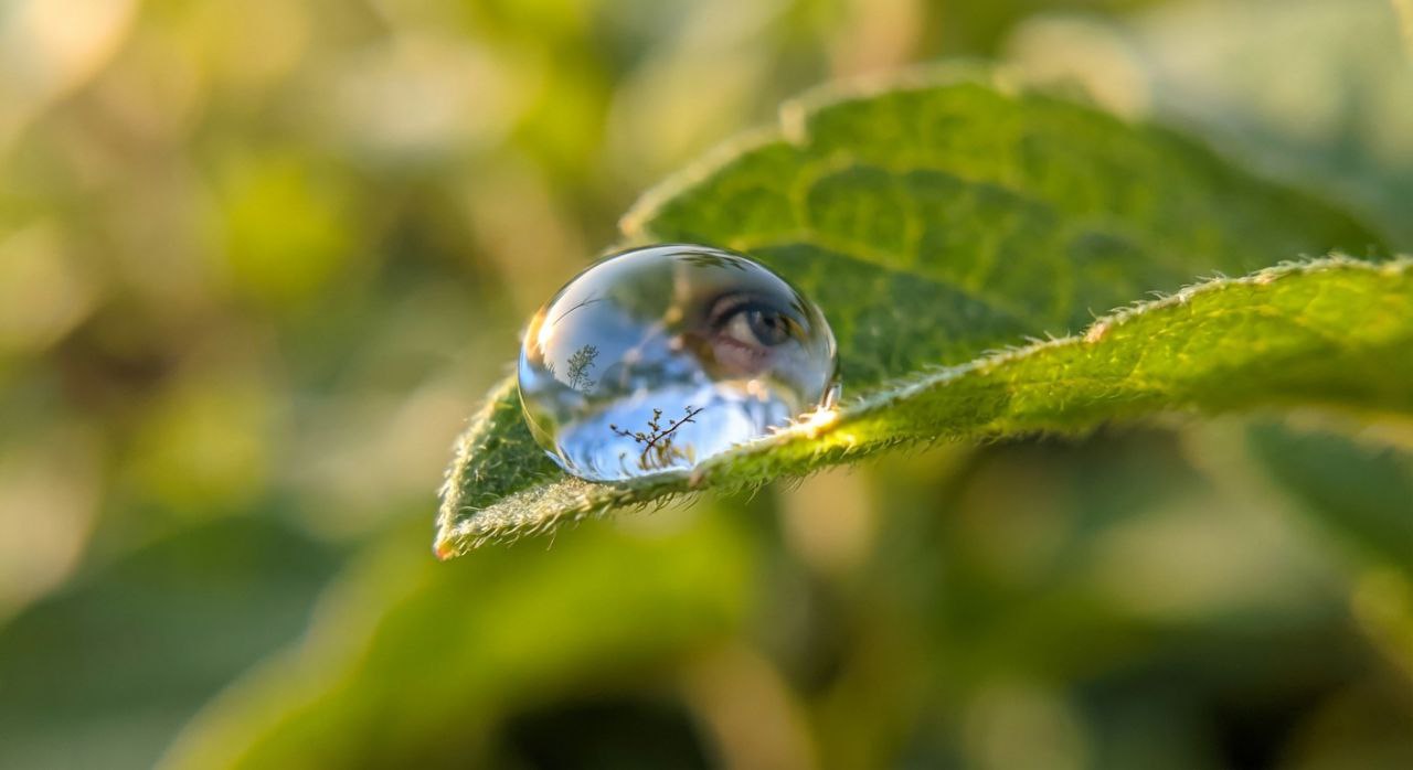 Изображение к статье «Красота как привычка: как простые действия меняют реальность вокруг нас»