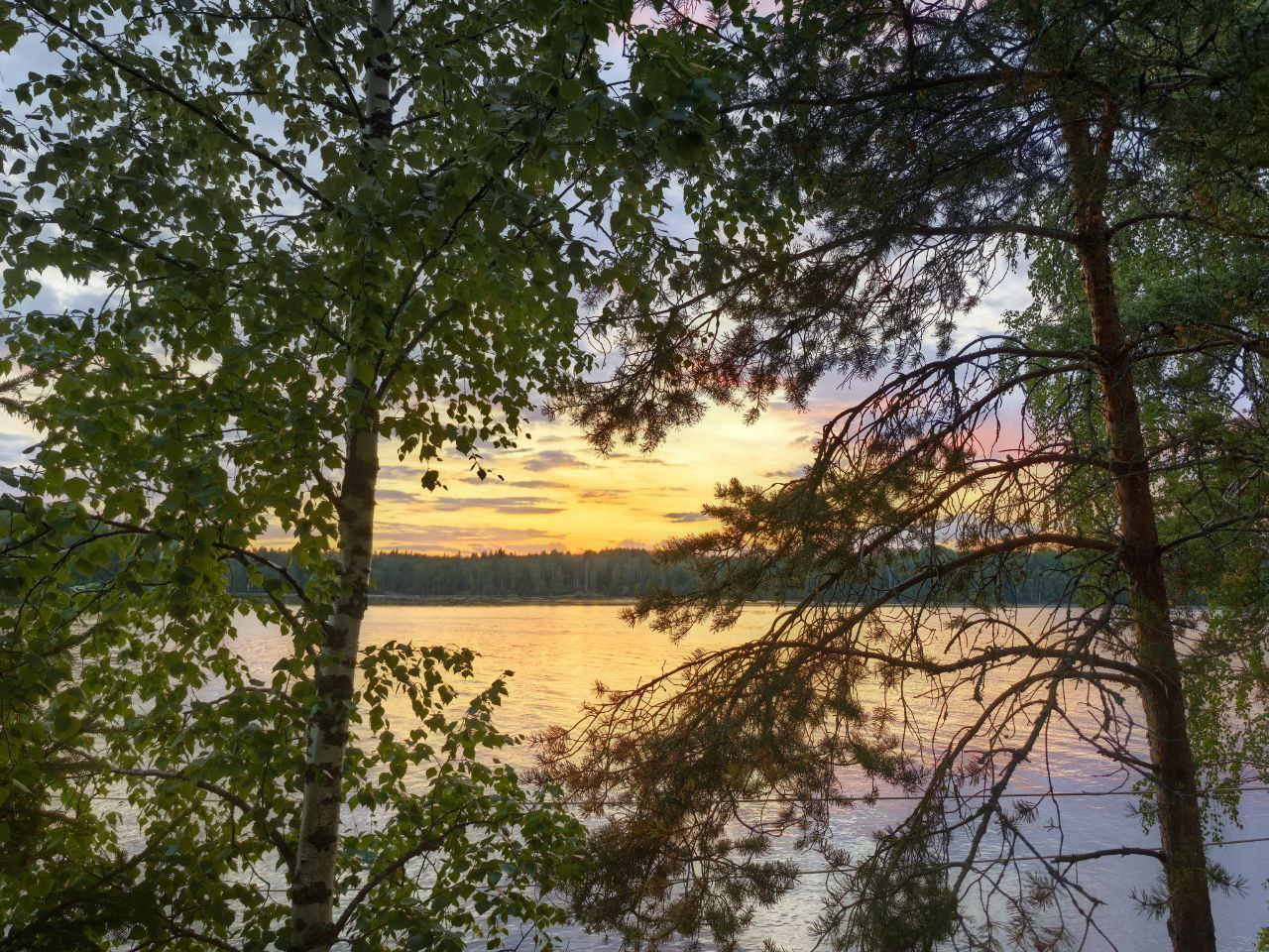 Изображение к статье «Целебная сила природы: как гармония вокруг возвращает гармонию внутри»